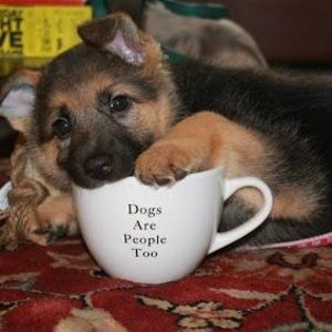 Meet your Posher, Jason